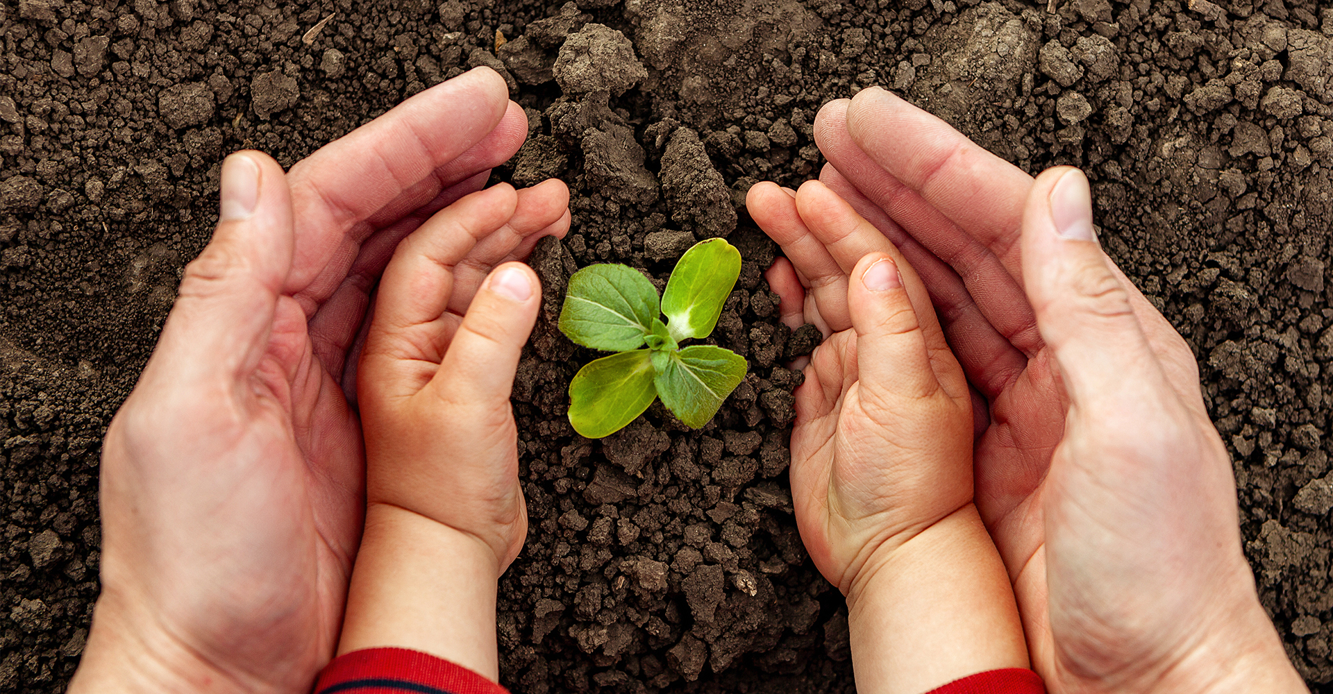 Birkenfeld_Beitragsbild_schützendeHände